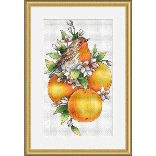 Fishxx Cross Stitch Kit S293 Orange and Bird Precision Printing Hand Embroidery