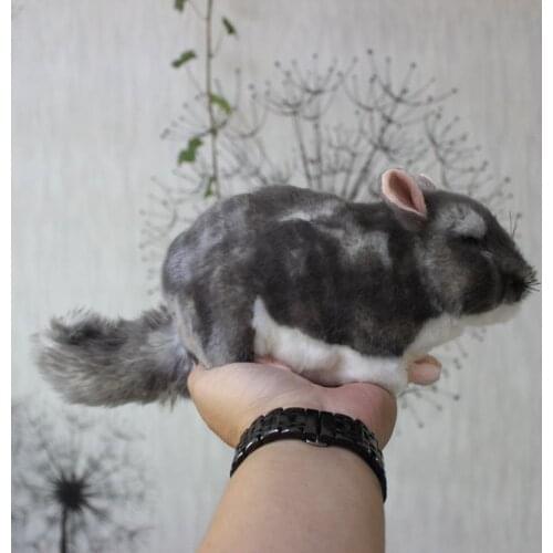 Kawaii Simulation Chinchillidae Plush Toys Mini Chinchillas Plush Dolls Simulation Mouse Stuffed Toys For Kids Free Shipping