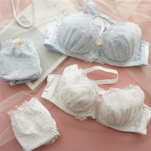 Blue White Plus Size Lingerie Bra and Panty Set Japanese Sexy Push Up Bra Panties Bralette Set Embroidery Lounge Underwear 2021