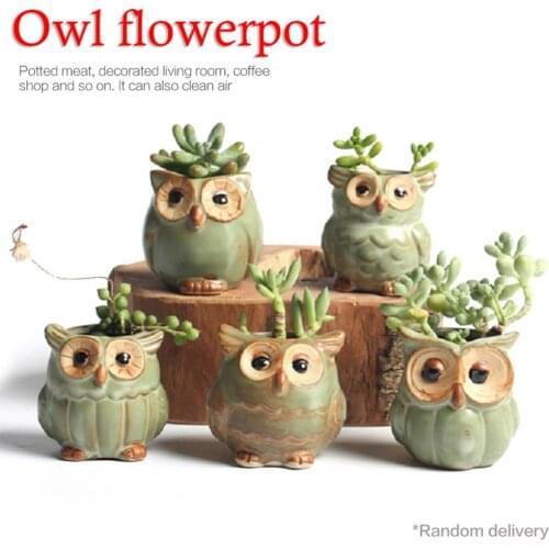 Cute Owl Flower Pot For Succulent Planters Flower Pots Vase Ceramic Crafts Fleshy Flower Vase Home Tabletop Decoration