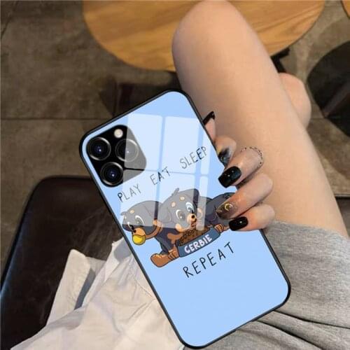 Cerbies lifestyle Phone Case Glass Phone Case For iphone 12 11 Pro Max XS XR X 8 7 Plus SE2 Case