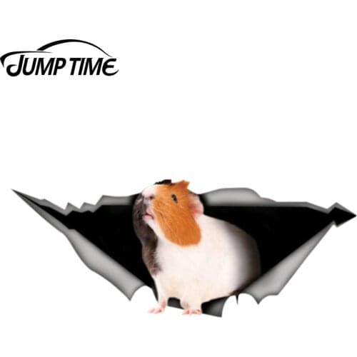 Jump Time 13cm x 4.8cm guinea pig car decal 3D Pet Graphic Vinyl Decal Car Window Laptop Bumper Animal Car Stickers