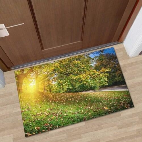 Home Welcome Floor Mats 3D Scenic Printed Water Absorbent Mat for Living Room Bedroom Kitchen Entrance Hallway Indoor Doormat