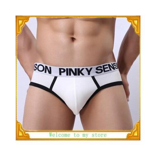 Brand PINKY SENSON sexy Mens Underwear briefs Gay Penis Pouch Sleepwear panties Man fashion gay underwear solid briefs