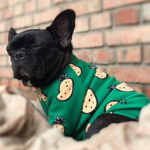 Cute Print Small Dog Hoodie Coat Winter Warm Pet Clothes for Chihuahua Shih Tzu Sweatshirt Puppy Cat Pullover Dogs Pets Clothing