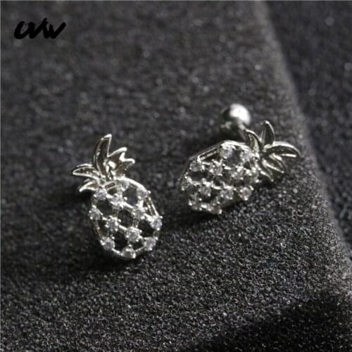 UVW419 2pc Tiny Stainless Steel Crystal Pineapple Stud Earrings Helix Piercing Body Jewelry Boho Women Wedding Accessories Gift