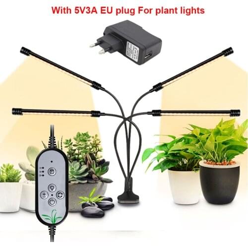 Mythtiger Plant Lamps