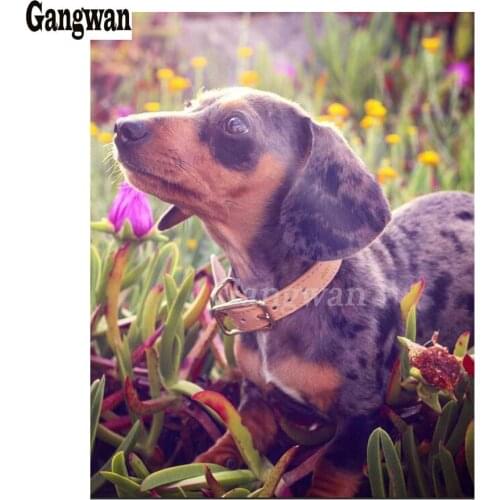 Diamond Painting Full Round Sausage dog Professor Dachshund Diamond Embroidery Mosaic pet Rhinestones Picture By Numbers Decor