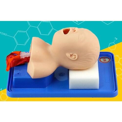 Infant tracheal intubation training model human tracheal intubation model