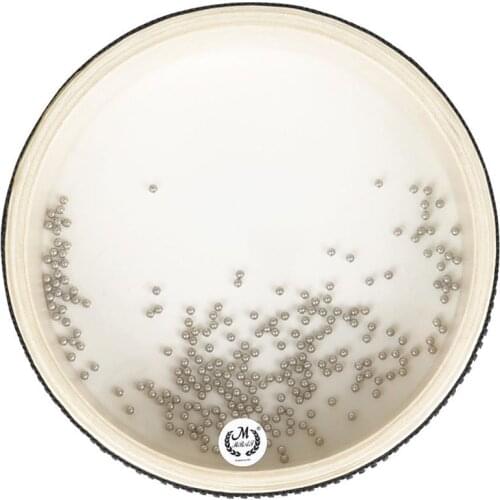 6-inch Ocean Drum Double-sided High Quality Transparent Wooden Ocean Wave Bead Hand Drum Percussion Musical Instruments