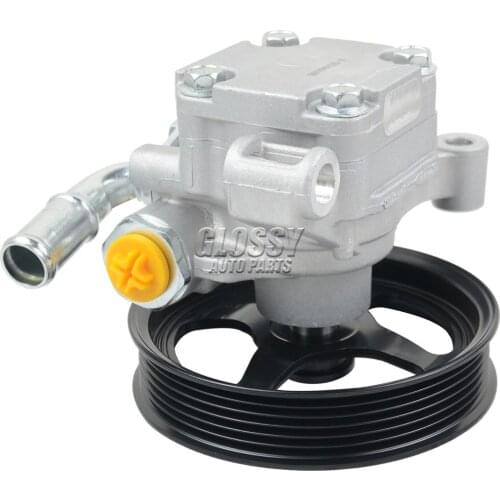 AP02 Power Steering Pump 25897549 12589753 for Buick Enclave for GMC Acadia for Chevrolet Equinox