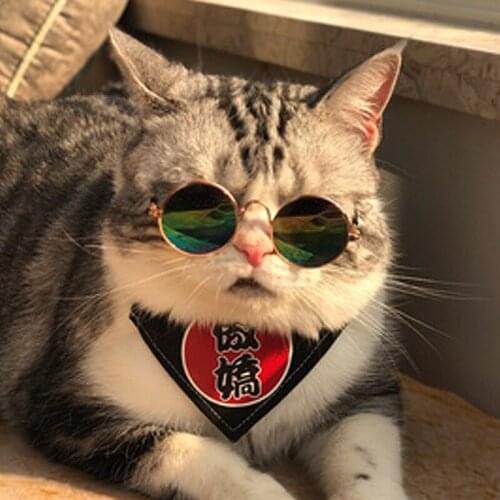 Pet Cat Glasses Dog Glasses Lovely Multicolor Sunglasses for Little Dog Cat Cool Eye Wear Dog Sunglasses Photo Props Accessories