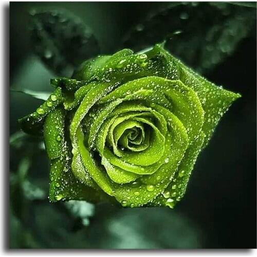 5d Diy Diamond Painting Cross Stitch Picture Square Rhinestone Diamond Mosaic Flower Green Rose Diamond Embroidery Decoration