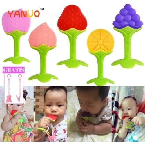 YANUO Cute Fruit Gums Teether Toy Bite Baby Shape Fruit Growth Baby Chewing Exercises for Babies Baby Toys Supplement Baby Food