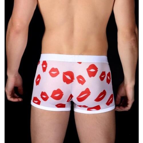 Man Fashion Boxer Shorts Sexy Mesh Transparent Erotic Adult Young Men Teenager Underwear