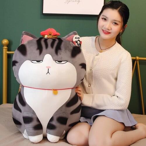 1PC 40/50/70cm The Emperor Cat Stuffed Animal Toy Cute Fat Cat Doll Boys and Girls Birthday Christmas Gift