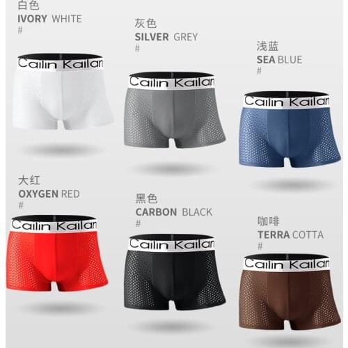 4pcs/Lot Mens Panties Male Underpants Man Pack Shorts Boxers Underwear Slip Homme Calzoncillos Bamboo Hole Large Size