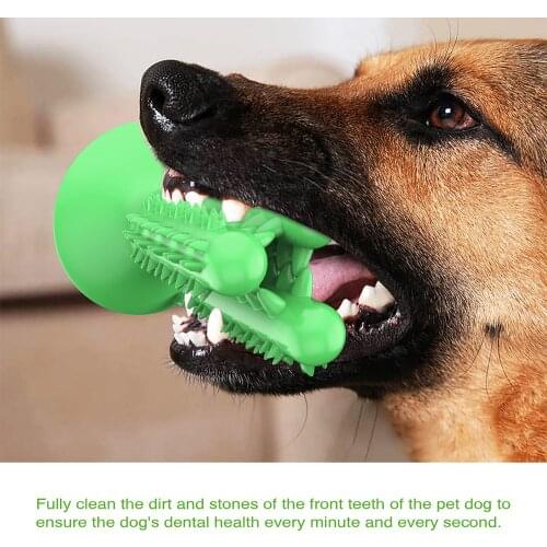 Pet Dog Toothbrush Chew Toy Brush Stick Soft Rubber Cleaning Dot Massage Toothpaste for Small Medium Large dog Pets Supplies