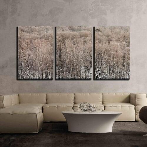 Canvas Wall Art - Cold Winter Morning over Urban Park, Moscow - Modern Home Decor, Stretched Ready To Hang Drop shipping