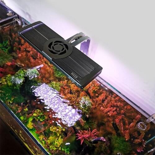 Full spectrum Aquarium LED Lighting Fish Tank Light Lamp With Extendable Brackets White and Blue LEDs Fit For Aquarium
