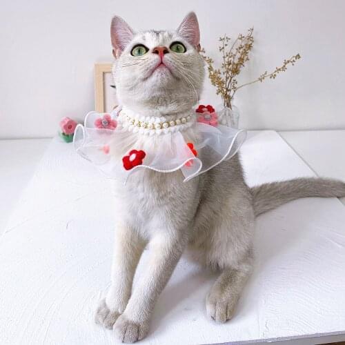 Hippypaw Pearl Necklaces For Women