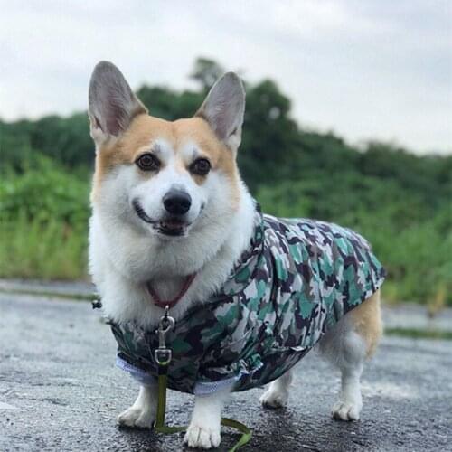 Waterproof Coat For Dogs Corgi Golden Retriever Small Medium Big Pastel Hoodie Raincoat For French Bulldog Pug Girl Pet Clothing