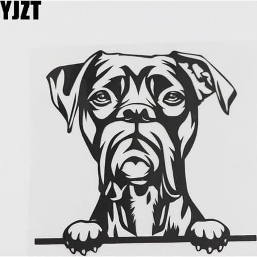 YJZT 14.4CMX13.6CM Funny Boston Terrier Peeking Decal Vinyl Car Sticker Black/Silver 8A-0554