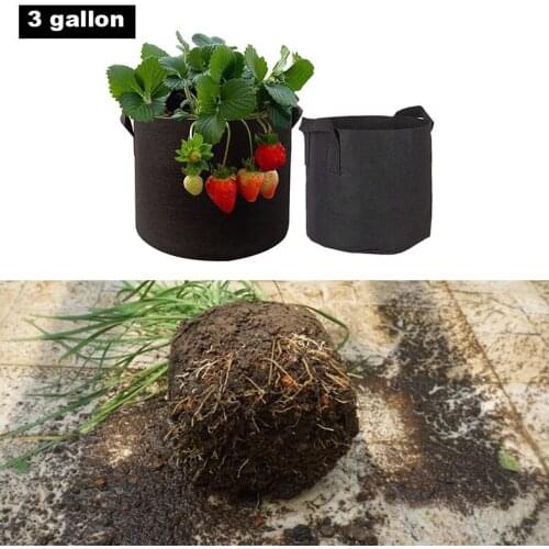Black Color Fabric Grow Bag Felt Plant Bags Planter Growing Container with Handle Vegetable Potato Flower Pot 3 Gallon 25x22cm