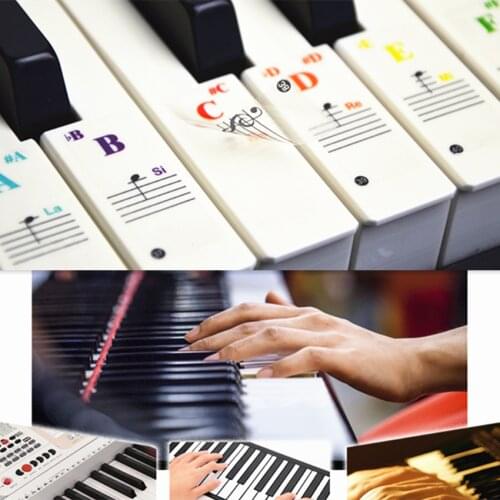 37/3249/54/61/88color Transparent Piano Keyboard Stickers Electronic Keyboard Key Piano Stave Note Sticker Symbol for White Keys
