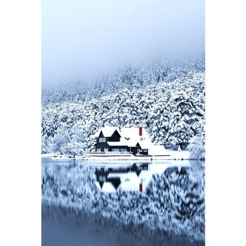 Winter Snow Forest Lake Wooden House Diamond Painting Round Full Drill Scenic Nouveaute DIY Mosaic Embroidery 5D Cross Stitch