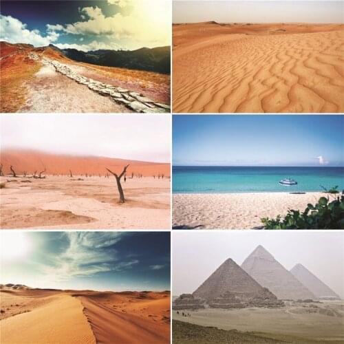 ZHISUXI Vinyl Custom Photography Backdrops Prop Desert Photography Background D20303-01