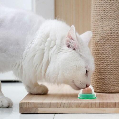 Cat Sugar Ball Cat Snacks Candy Licking Solid Nutrition Cat Treats Energy Ball Toy With Natural Catnip And Sucker For Pet Suppli