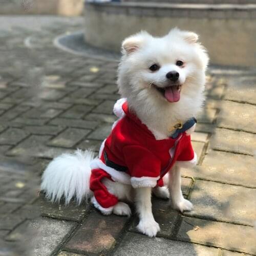 Santa Clothes Dog Set Animal Dogs Winter Costume Household Christmas Ornaments for Small Cat Hoodies Pet Clothing