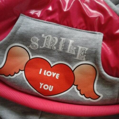 Nylon Taffta Winter Pet Dog Clothes Fleece Lining Warm Puppy Coat Waterproof Dog Jumpsuit Dogs Jaclets Pet Clothing