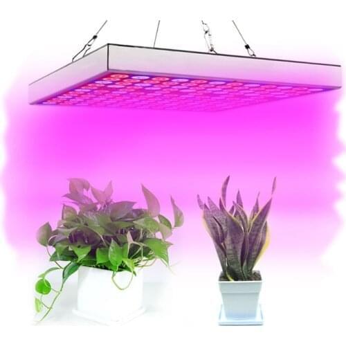 BlackMix Ultraviolet Lamps