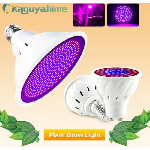 Kaguyahime Professional Lighting