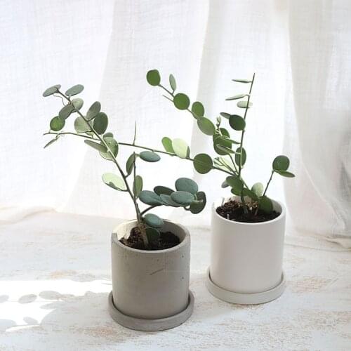 Big Flower Pot Concrete Mold Cement Round Square Planter Pot Silicone Mold Multi Shapes jesmonite terazzo mold