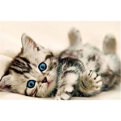 DIY 5D Diamond Mosaic Cartoon Cats Handmade Diamond Painting Cross Stitch Kits Diamond Embroidery Patterns Rhinestones Arts H6