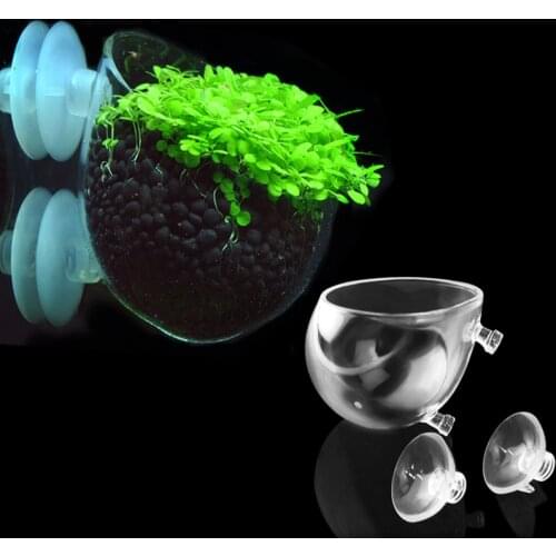 Crystal Glass Pot Cup for Aquarium Plant Decoration Fish Tank Grass Water Weed Coral Planting Cylinder Sea Anemone Cup