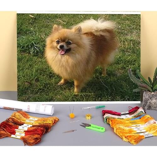 Animal Dog Pomeranian Printed Fabric 11CT Cross Stitch Embroidery Full Kit DMC Threads Needlework Hobby Handicraft Floss