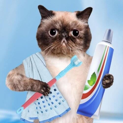 Pet Toothbrush Three-Head Multi-Angle Toothbrush Cleaning Addition Bad Breath Tartar Teeth Care Dog Cat Oral Clea Pet Supplies