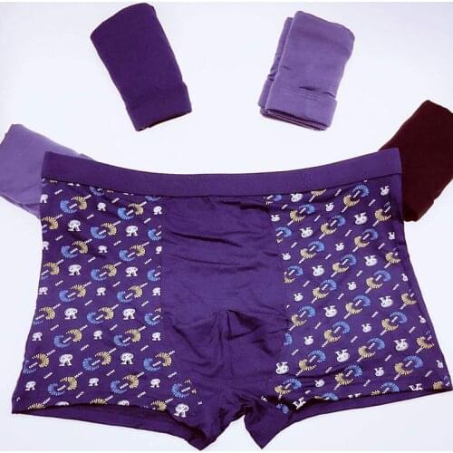 5 Pcs Modal Underwear Sexy Mens Comfy Silky Underpants Trucks Boxer Hot Sale Panties Boxers Factory Direct Sale Boxers