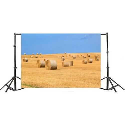 Photography Backdrop Farmland Wheat Field Autumn Straw Hay Bale Blue Sky Nature Ric Harvest View