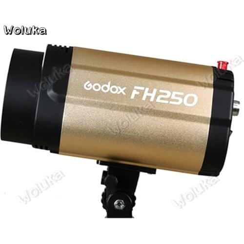 Godox Photographic lamp smart FH-250 Studio Flash photographic equipment product shooting single lamp lamp head CD50 T03