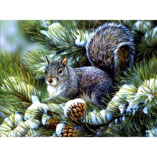 5D DIY Diamond Painting Animal Squirrel Cross Stitch Kit Full Diamond Embroidery Mosaic Gift Rhinestone Picture Home Decoration