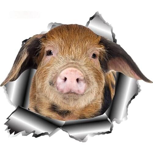 Personality Cute Pig Car Sticker Torn Car Window Bumper Decal Animal Stickers Funny Pet Car Styling Cover Scratches Waterproof