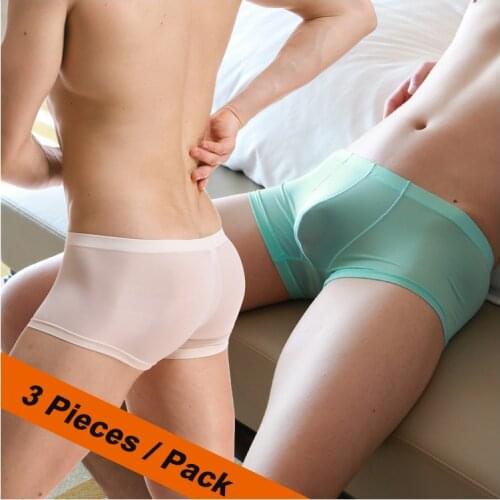 Transparent Mens Sexy Underwear Ropa Interior Hombre Calzoncillos Marcas Silk Low Waist Boxers Men Seamless Nylon Spandex Underw