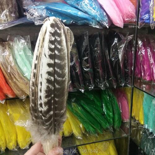 1550 pcs / lot high quality natural carving plume 9-11 inch / 23-28 cm eagle feathers free shipping