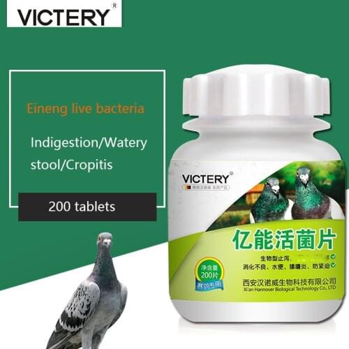 Young pigeons, homing pigeons, diarrhea, watery stools, green stools, diarrhea, don't eat food, pigeon probiotics 200 tablets