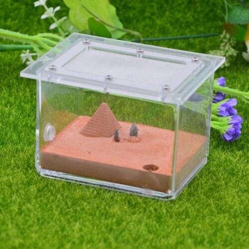 Concrete Ant Nest Acrylic Ant Farm Ant Workshop Flat Nest Gypsum Nest Landscaping Ant Nest